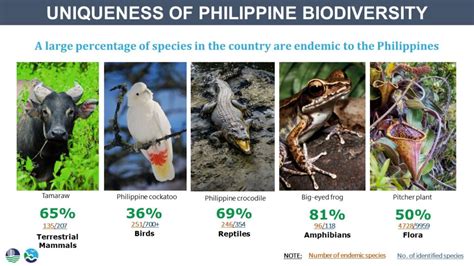 List of Insects Species that are Endemic in Philippines;.